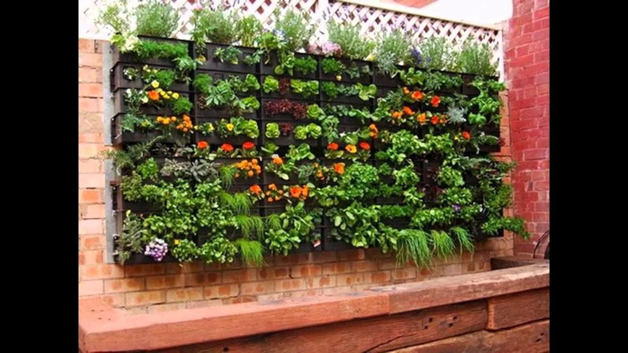 garden-herbs-container