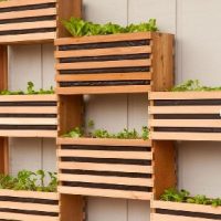 Vertical wall planters Melbourne